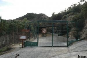 Enclos des lamas