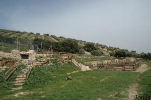 Ferme