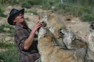 Daniel Weigend et ses loups gris européens