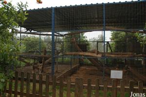 Enclos des vervets et des macaques à queue de lion