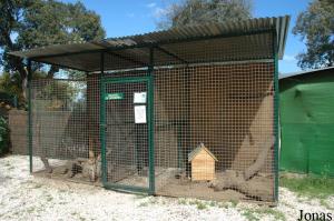 Cages du blaireau et des magots