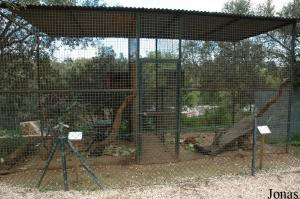 Cages des singes verts et du cercopithèque mone