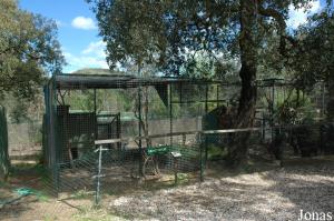 Cages des singes verts et des macaques rhésus