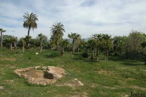 Enclos des hérons garde-boeufs (Bubulcus ibis), des pintades de Pucheran (Guttera pucherani), des pintades vulturines (Acryllium vulturinum), des jabirus d'Afrique (Ephippiorhynchus senegalensis), des bucorves du Sud (Bucorvus leadbeateri), des grues royales (Balearica regulorum) et des grues couronnées (Balearica pavonina)