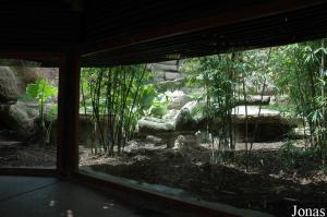 Enclos des panthères du Sri Lanka