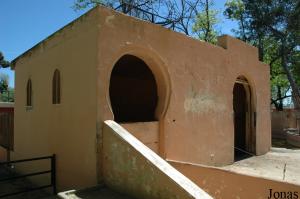 Bâtiment de l'éléphante africaine