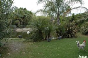 Cortijo Rural Las Aves