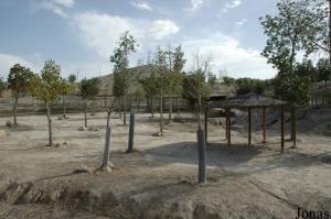 Enclos des élands, des autruches et des gazelles dorcas