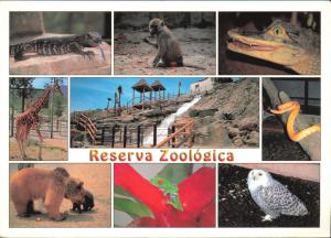 Carte postale