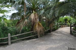 Allée déserte du Zoo Alt Camp