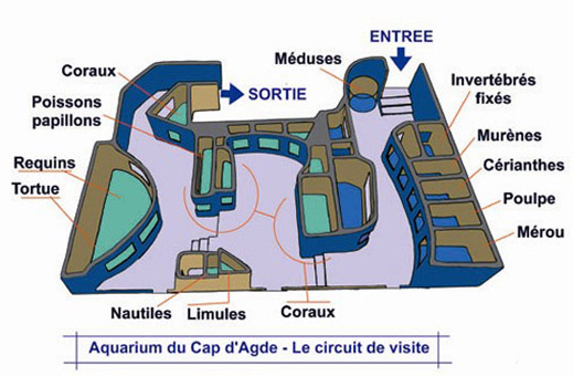 aquarium-du-cap-d-agde