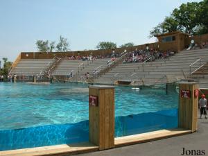 Baie des lions de mer