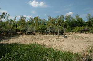 Enclos secondaire des rhinocéros blancs