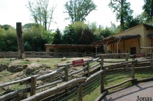 Enclos des tapirs terrestres et des maras