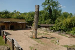 Enclos des tapirs terrestres et des maras