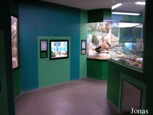 Reptilarium