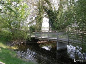 Bassin des tortues