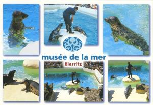 Carte postale