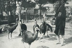 La vie à la campagne 1928