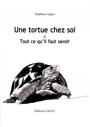 <strong>Une tortue chez soi</strong>, Tout ce qu'il faut savoir, St&eacute;phane Gagno, &Eacute;ditions Galuc, 2020