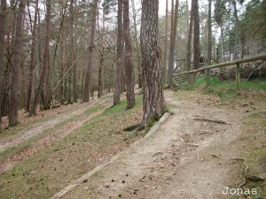 Cadre forestier du Zoo du Bouy