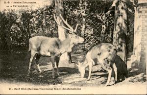 Carte postale