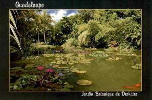 Carte postale