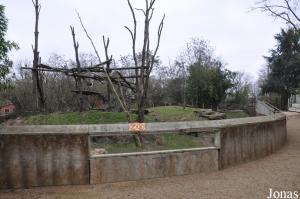 Enclos des ours à lunettes