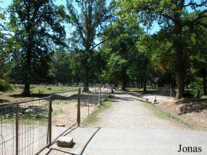 Sentier longeant les enclos