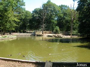 Bassin des hippopotames