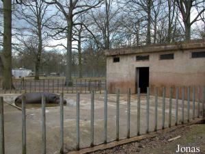 Bassin des hippopotames