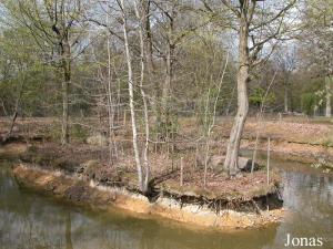 Ancienne île des lémuriens