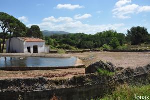 Ancien enclos de l'hippopotame