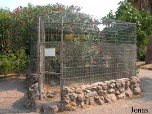 Enclos des makis de Mayotte