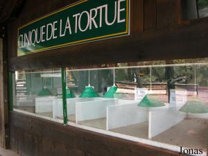 Clinique de la Tortue