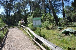 Parcours paléontologique