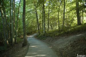 Sentier forestier menant à l'enclos des ours à lunettes