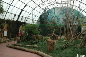 Serre amazonienne