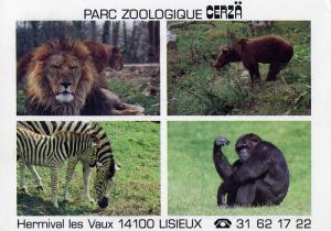 Carte postale