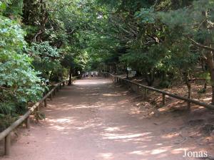 La Montagne des Singes