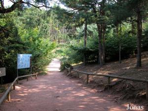 La Montagne des Singes