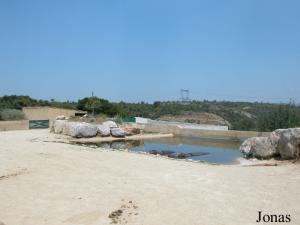 Installation des hippopotames