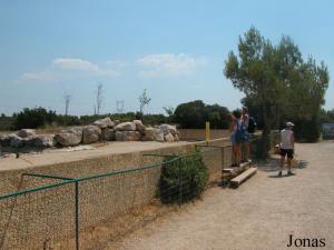 Installation des hippopotames