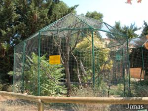 Enclos des macaques de Buffon