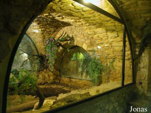 Vivarium