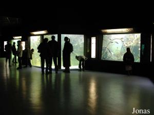 Salle des eaux douces tempérées