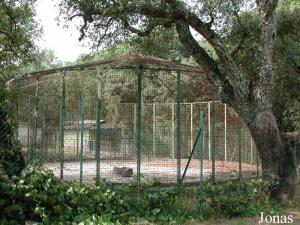 Anciennes cages