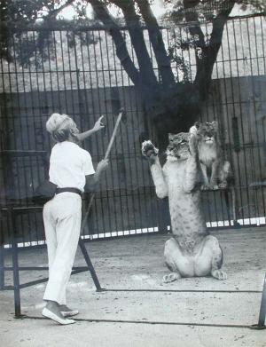 Madame Saint-Martin au Zoo de Marseille en séance de dressage
