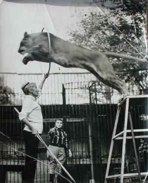Madame Saint-Martin au Zoo de Marseille en séance de dressage avec Jim Frey