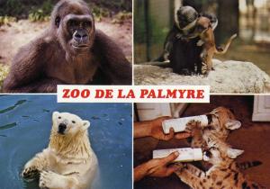 Carte postale